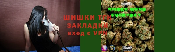 винт Алексин