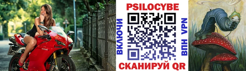 даркнет сайт  Княгинино  МЕГА рабочий сайт  Псилоцибиновые грибы Cubensis 
